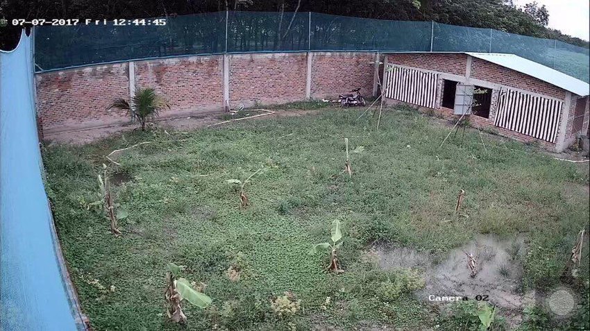 Camera giá rẻ không dây lắp ngoài trời