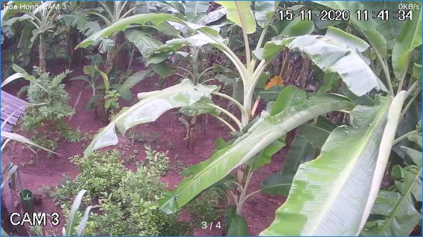 Những lưu ý khi dùng camera quan sát ngoài trời